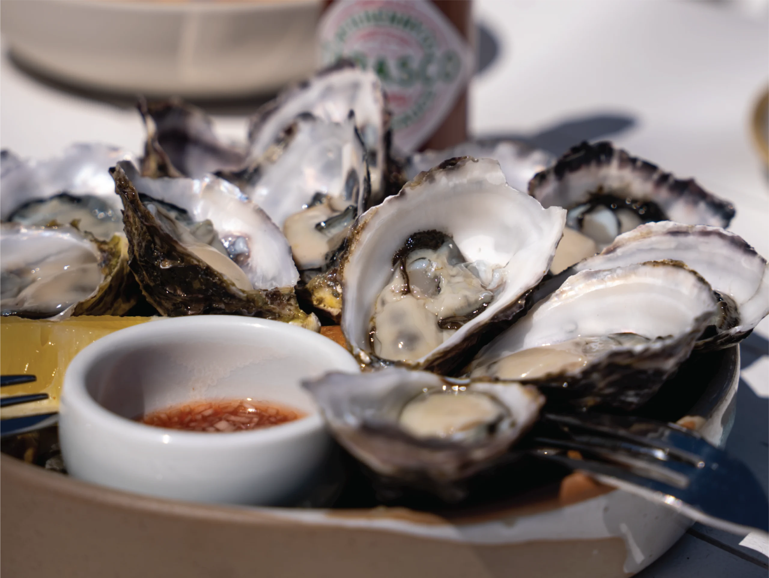 50% off Oysters from 4-6pm at True South